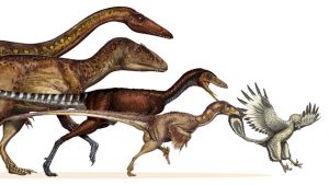 dino