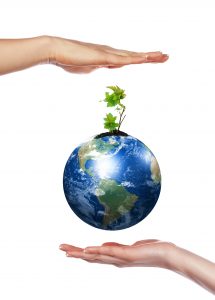 hands, the young sprout and our planet Earth